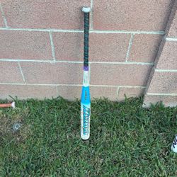 Mizuno Last Pitch Softball Bat. 30