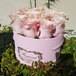 Box of Roses