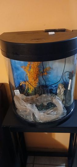 Fish tank