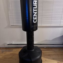 Brand New Punching Bag