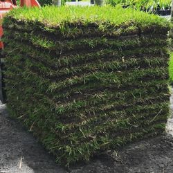 Fresh Sod 