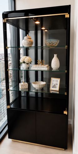 Vintage Lane Postmodern Black Lacquer & Brass Display Cabinet / Vitrine