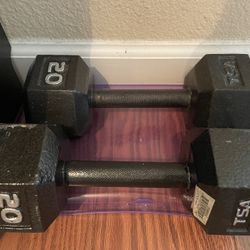 20 Lbs Dumbbells (2)