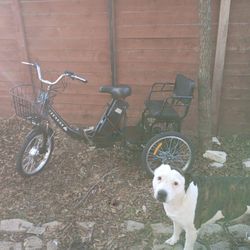 Electric Two Seated Tricycle