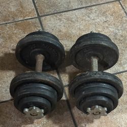 Dumbbells 