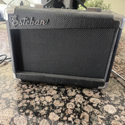 Esteban Guitar Amplifier 