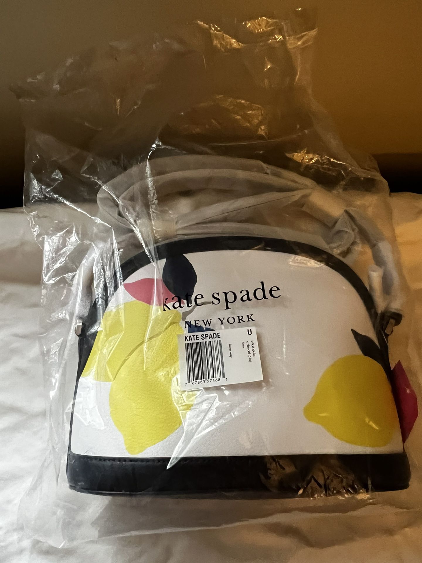 Kate Spade New York Sylvia X-Large Dome Leather Crossbody Bag