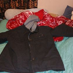 Dickies Jacket Winter