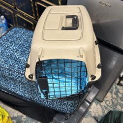 Dog kennel 