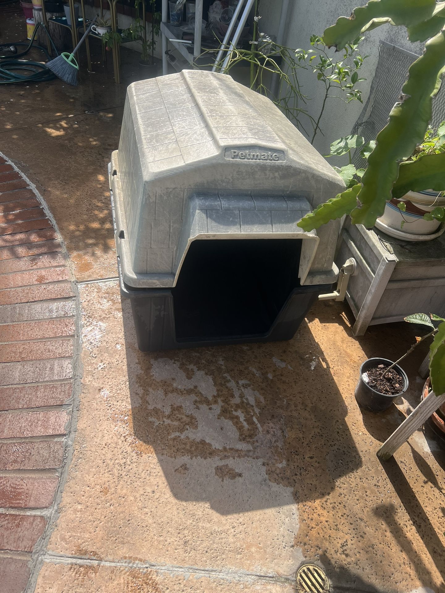 Dog House