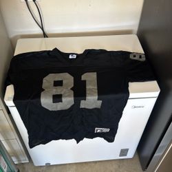 Raiders 81