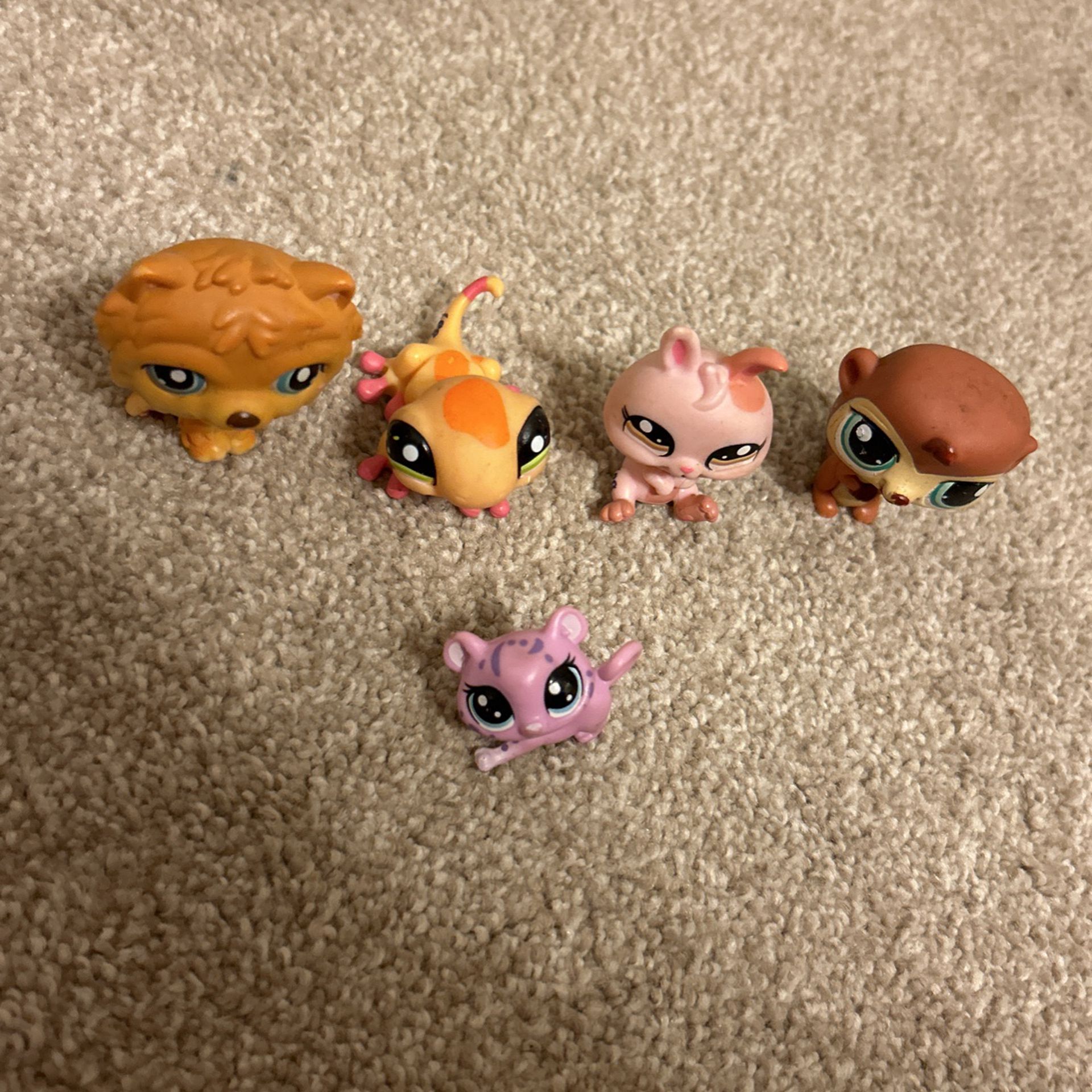Lps 5 Pack