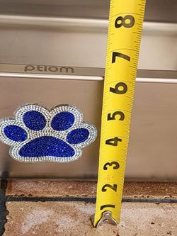 Stainless Steel Cat Litter Box with Paw Print