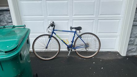 Mishima Meridian Bike