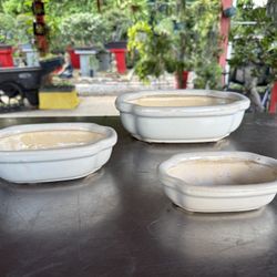 Maceta Para Bonsai