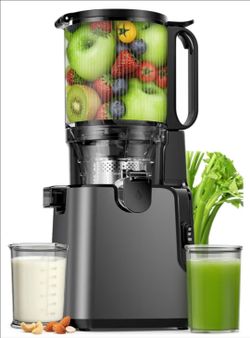 Cold Press Slow Masticating Juicer