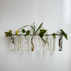 Glass & Brass Propagation Station Indoor Outdoor Plants Wall Hanging Planter Garden Gardener