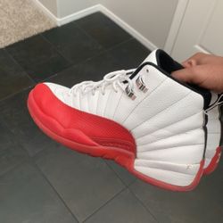 Jordan 12s