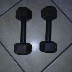 10 Lbs Weight Lifts 