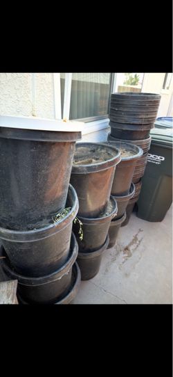 FREE Pots of soil