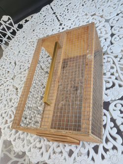 Birds/parrots/carrier
