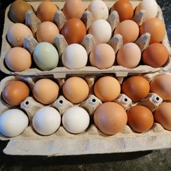 Farm Fresh Eggs