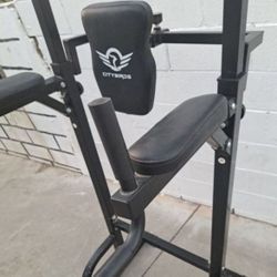 Citybirds Power Tower Dip Station Pull Up Bar for Home Gym Strength Training Workout Equipment