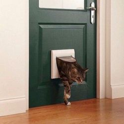 NEW cat door dog door 4 way locking cat flap see though flap Cat Door doggy door Bin 33  Shed