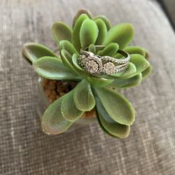 Zales Engagement Ring