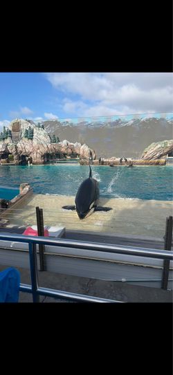 Sea World Tickets