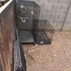 Birdcage Dog Kennel 