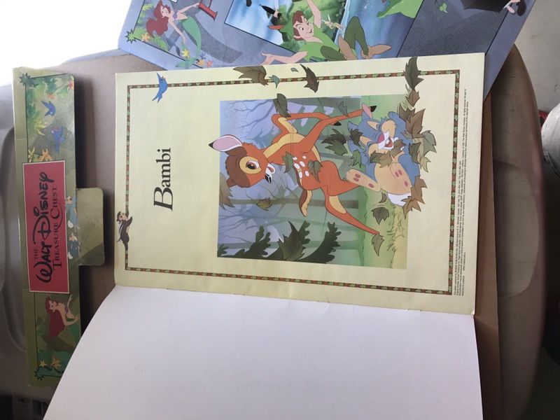 The Walt Disney Treasure Chest