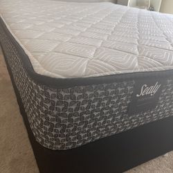 Sealy Essentials Mattress + Boxspring 