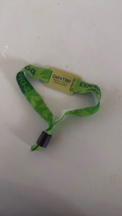 2-Day Day Trip wristband