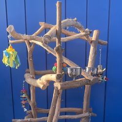 Thick N Curvy Macaw. - Cockatoo Perch Tree …. Lots Of Gnarly Macaw Fun !  Breeder Direct Low Wholesale Price 👍🏼