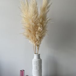 Natural Fluffy Pampas Grass 