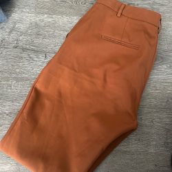 Dressy Pants