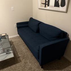 Blue Couch