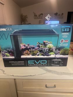 Fluval 13.5 Gallon EVO Reef Tank