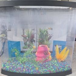 Send Offers Deal Brand New Fish And Fish Tank  And Fish Food