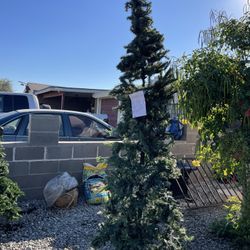 Arbolito 8 Pies De Alto 40 Dólares 