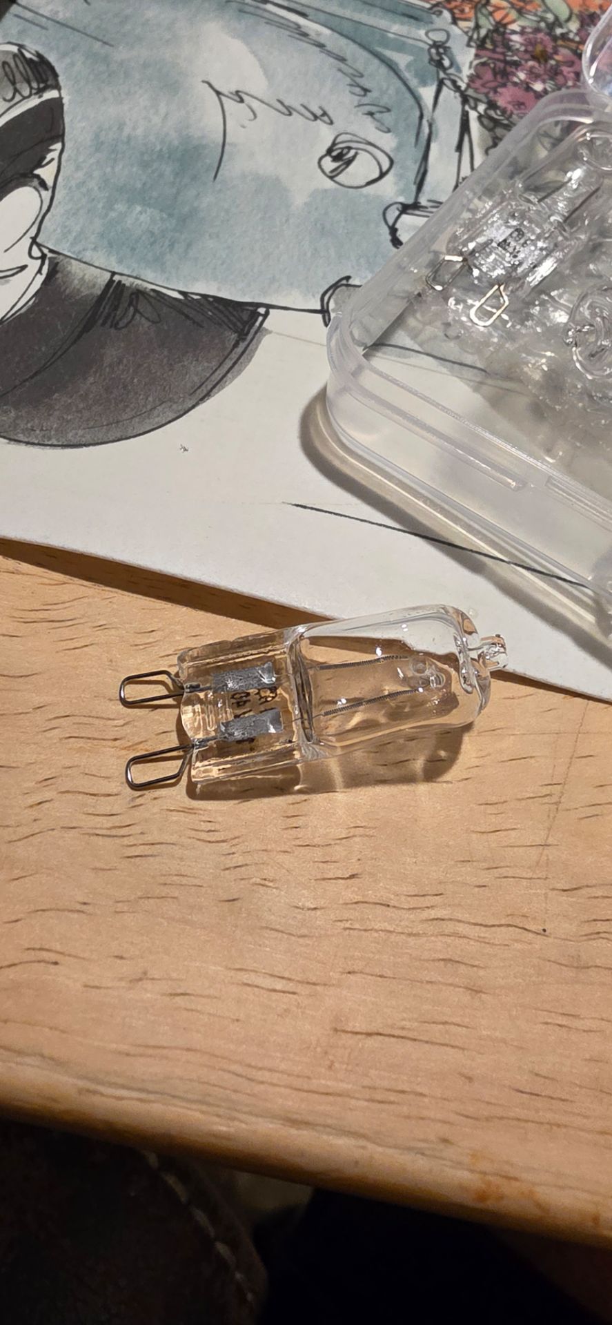 Microwave Light bulbs