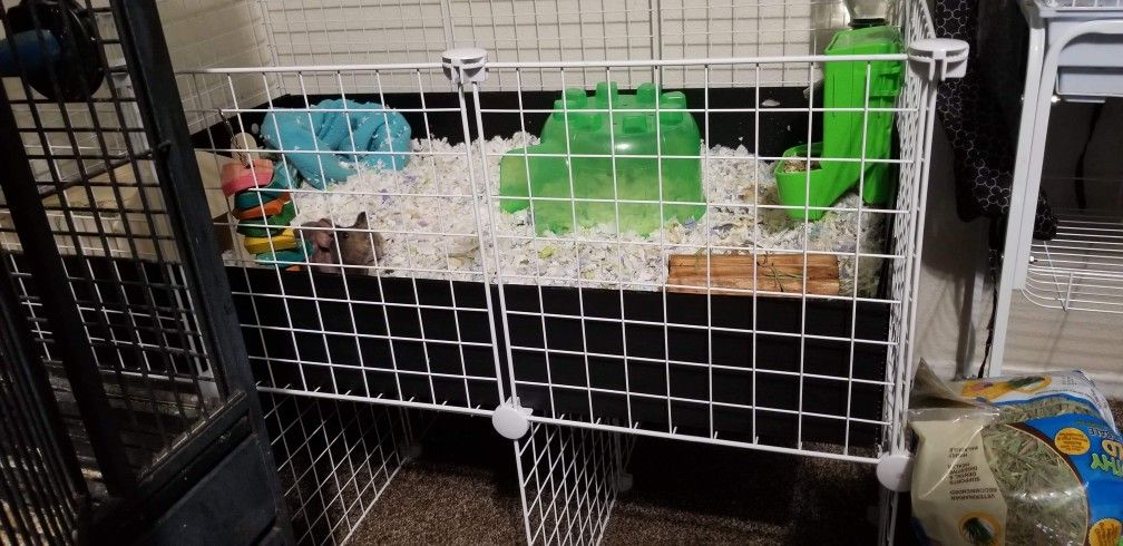 Guinea Pig Cage