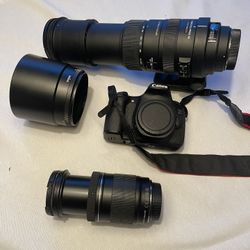 Canon Camera (w/ Both Lenses) 