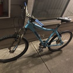 Specialized Adult Bike