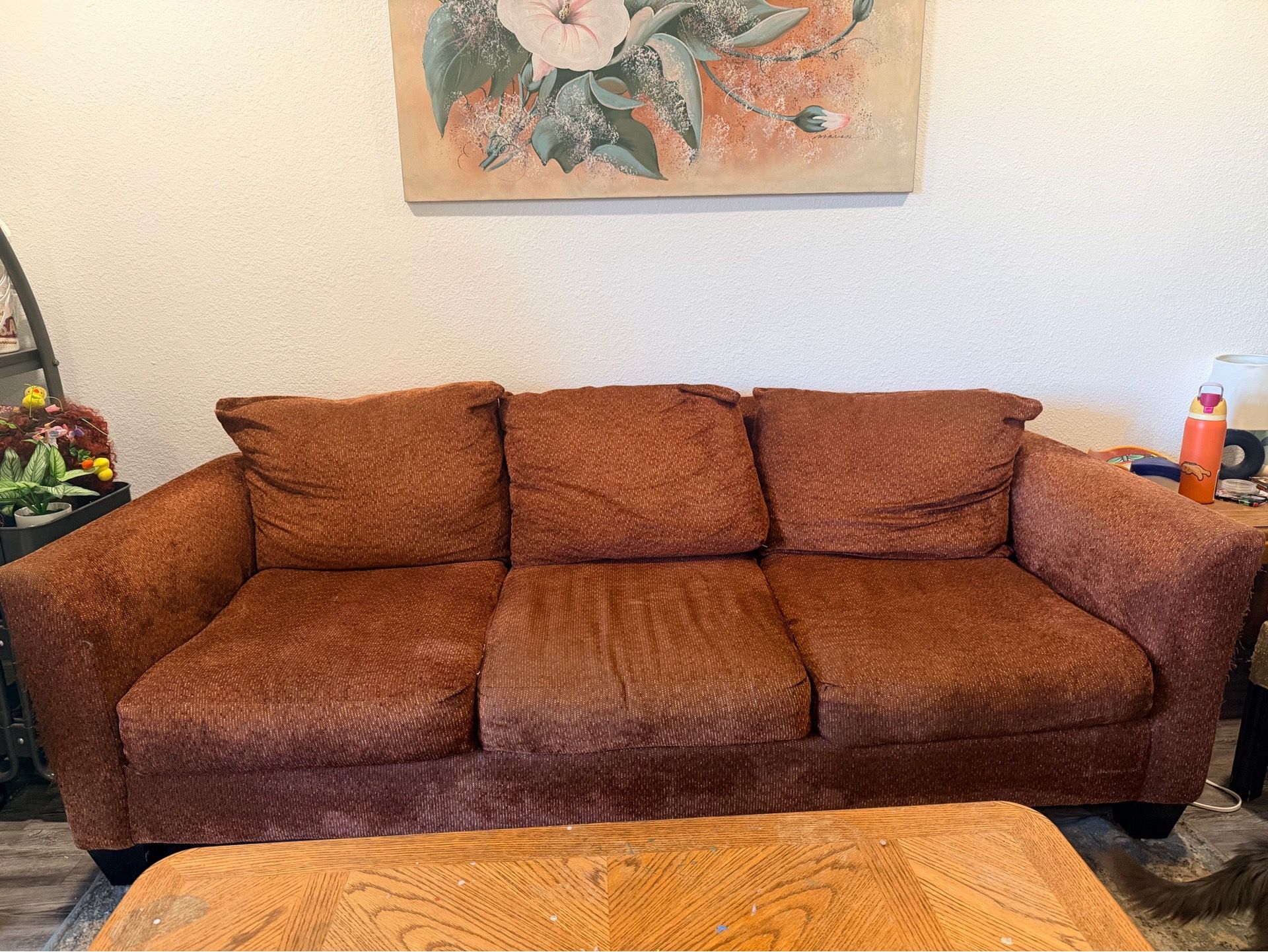 Comfy Couch