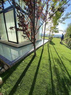 Fake Grass Artificial Turf Astro Turf