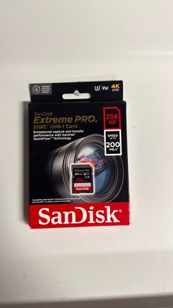 SanDisk 256GB Card