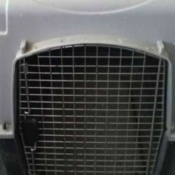 Dog Kennel Used 1 Time