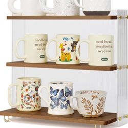 Spice / Makeup/ Mug Organizer New